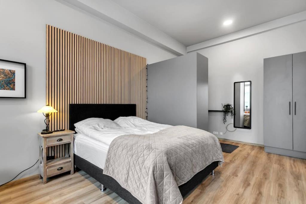 רייקיאוויק Charming Studio Apartment מראה חיצוני תמונה